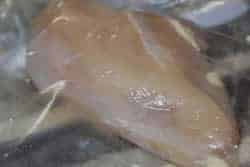 Chicken breast inside bag