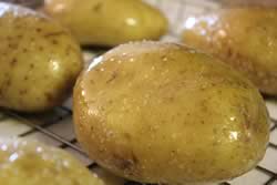 Oiled and salted potatoes