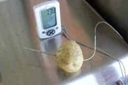 Probe through Potato