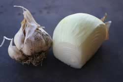 Onion and garlic bulb