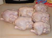Baby Beer Can Chickens - Brined
