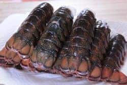 Thawed lobster tails
