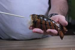 Getting ready to skewer the lobster tail