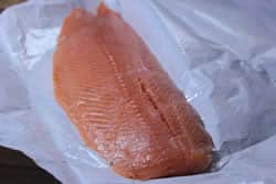 Salmon filet