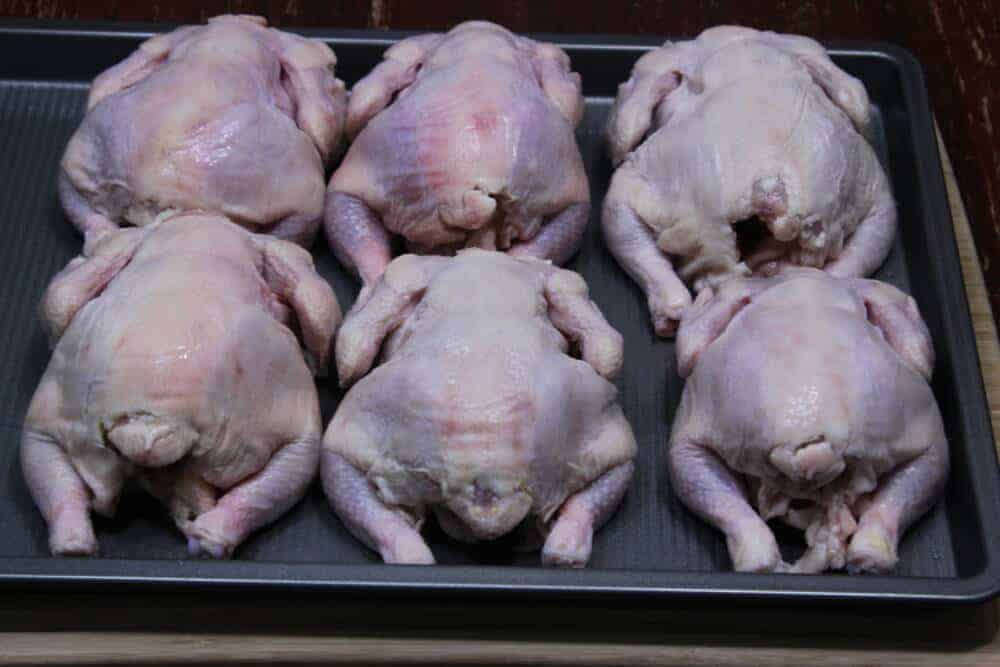 Citrus Rosemary Cornish Hens 5 IMG 2069 1