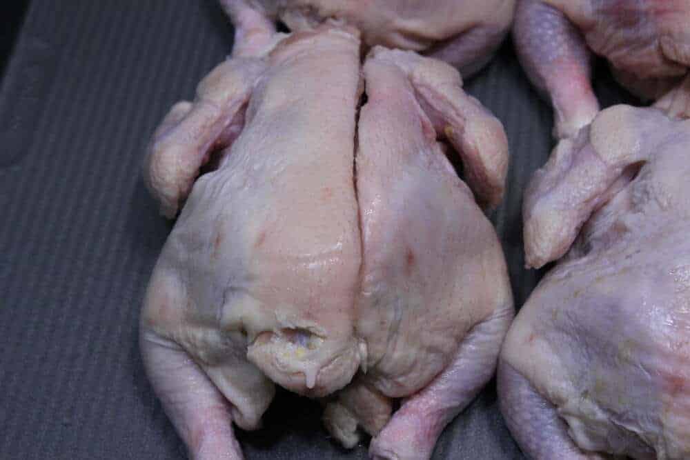 Citrus Rosemary Cornish Hens 6 IMG 2070 1