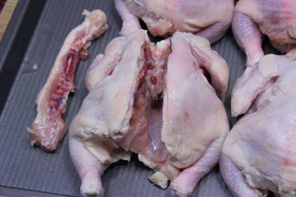 Citrus Rosemary Cornish Hens 7 IMG 2071 1