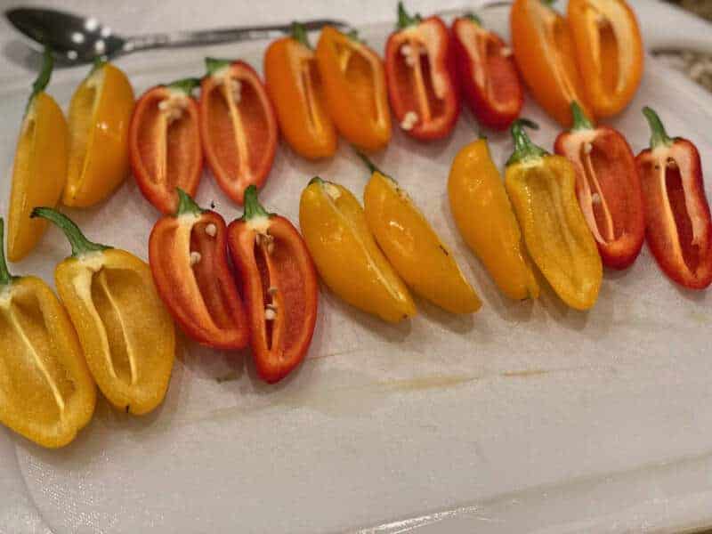 Smoked Mini Sweet Pepper ABT's (Stuffed Sweet Peppers) Learn to Smoke