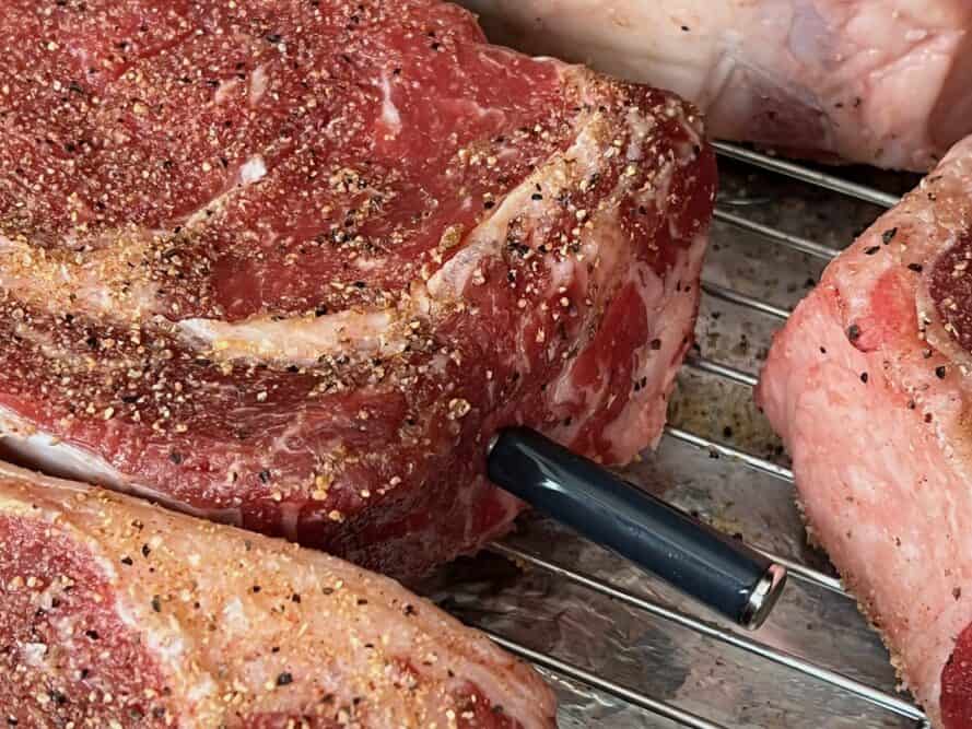 The MeatStick X Review - Truly Wireless Meat Thermometer (2024)