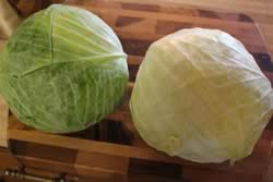 Heads of Cabbage