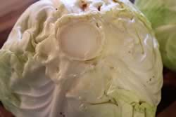Cabbage filled, plugged and ready to smoke