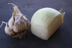 Onion and garlic bulb