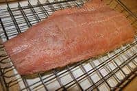 Salmon with Pellicle