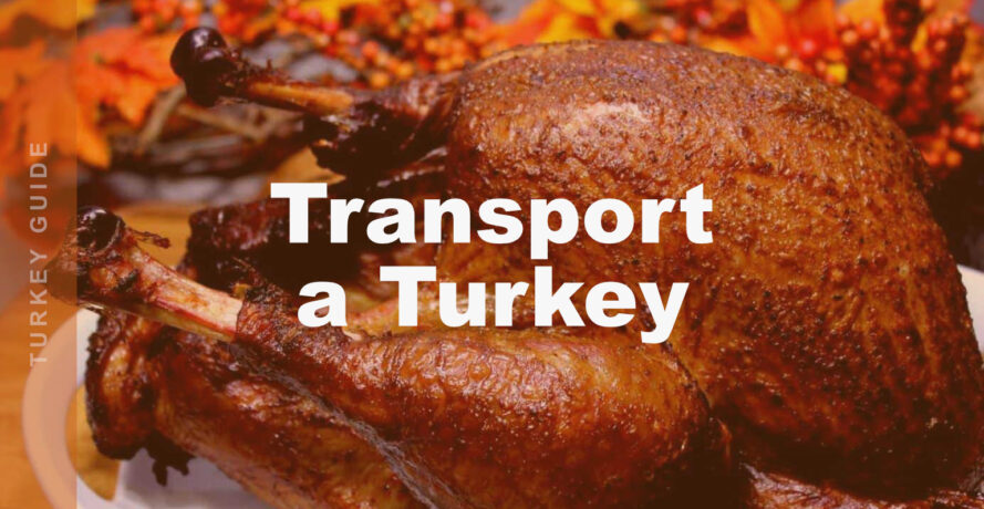 How to Transport a Smoked Turkey Without Ruining It 17 transport a turkey