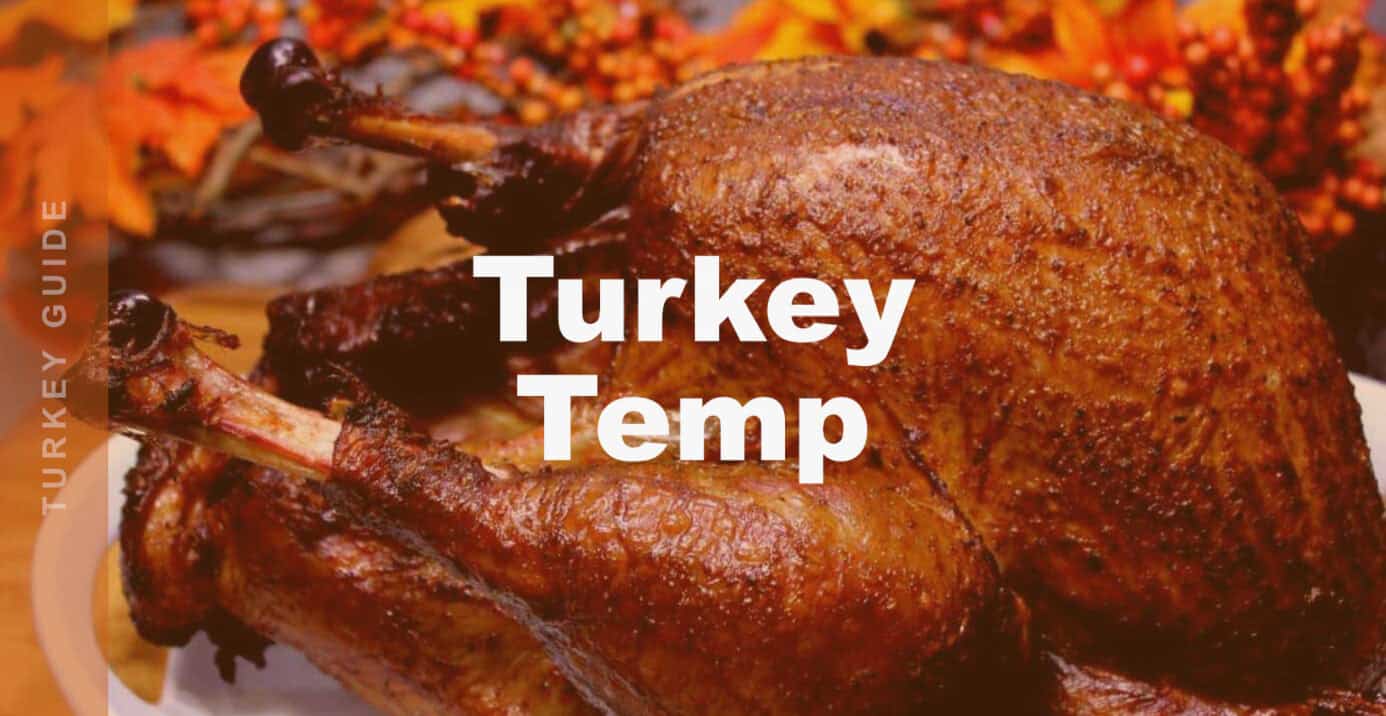 Best Temperature for Smoking a Turkey 22 turkey temp