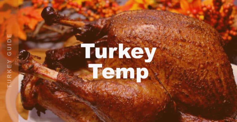 Best Temperature for Smoking a Turkey